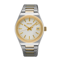 Montre Seiko Classic Modern in Acier SUR578P1